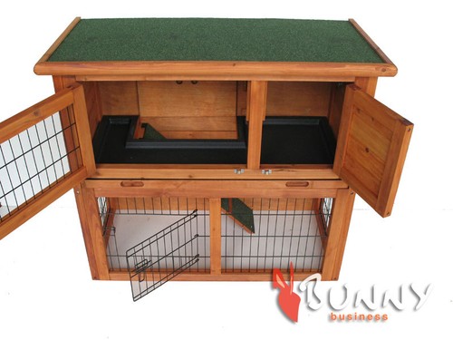 Rabbit guinea pig - guinea, hutch