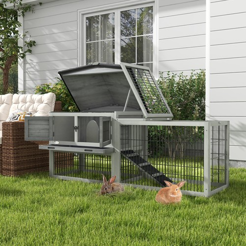 Rabbit hutch outdoor - rabbit,
