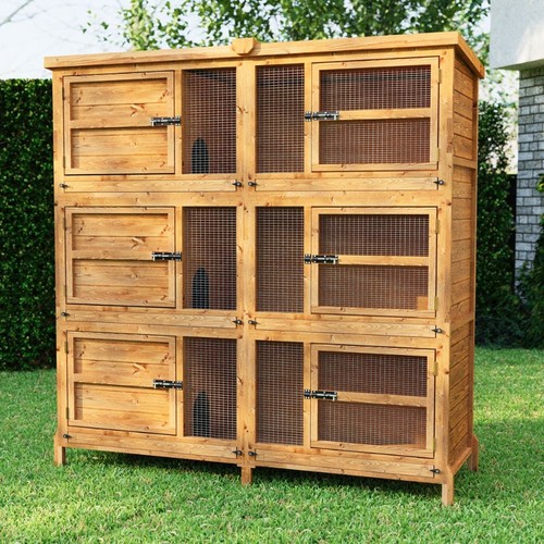 6ft three tier - three-tier, guinea