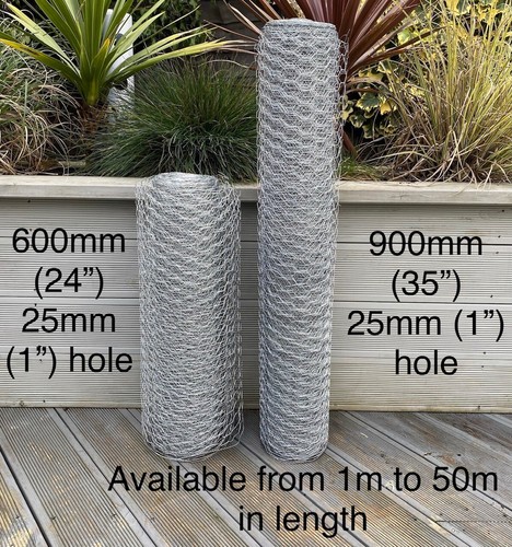 Chicken wire mesh fencing - wire,