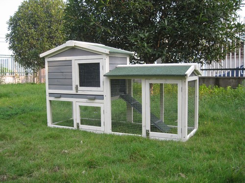 Rabbit guinea pig hutch - rabbit,