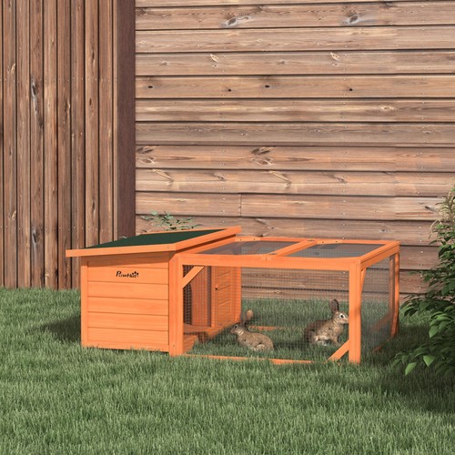 Rabbit hutch outdoor - rabbit, guinea