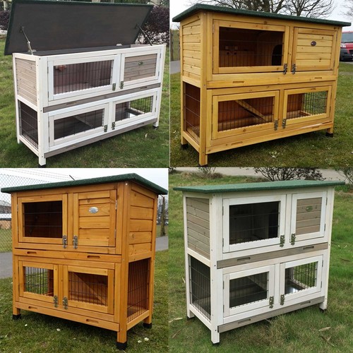 Large rabbit hutch guinea - rabbit, pig