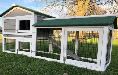 Large rabbit hutch guinea pig - large,