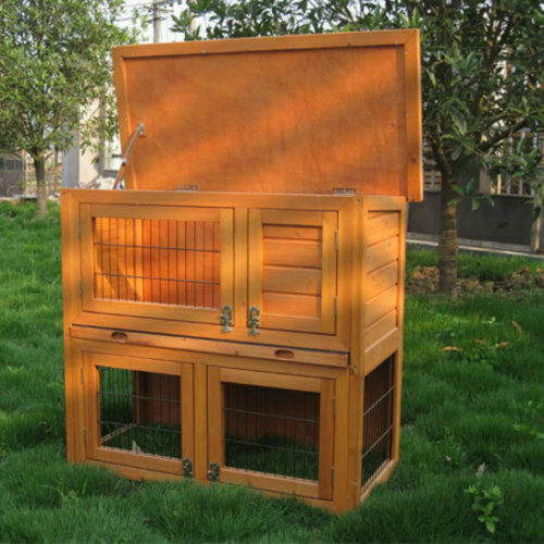 Rabbit guinea pig - /,