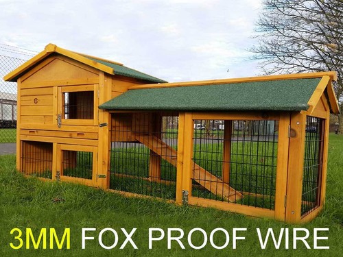 Rabbit esmo hutch guinea - rabbit,