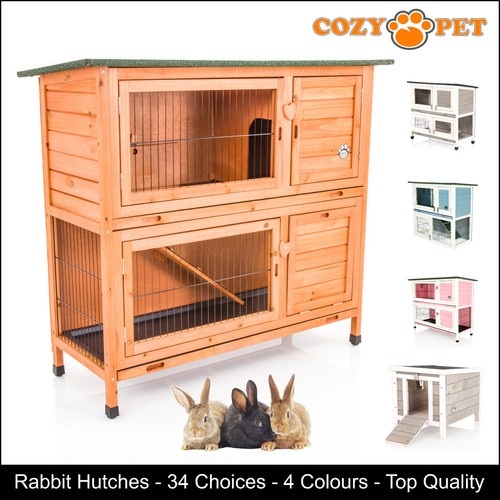 Rabbit hutch guinea pig - guinea,