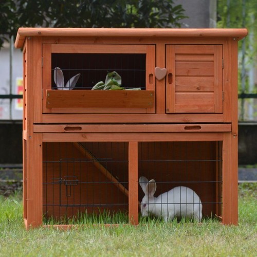 3ft rabbit hutch - /, pig