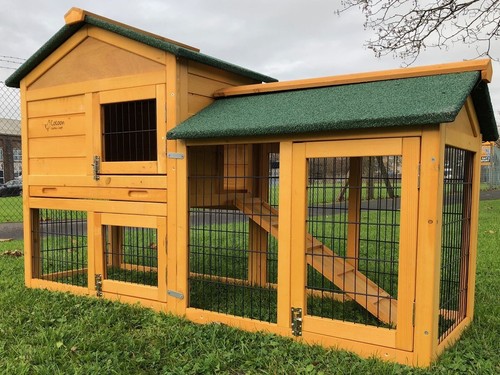 Rabbit hutch guinea pig - rabbit,