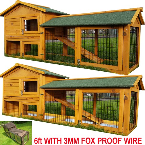 Rabbit hutch guinea pig - rabbit,